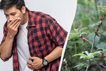 Знание этого может спасти жизнь: самые опасные растения Украины