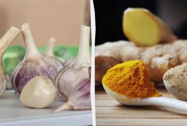 Чеснок против имбиря: исследования показали, что полезнее для иммунитета