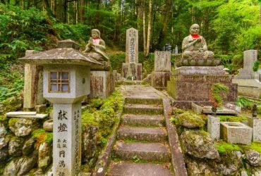 В Японии запустят прямой поезд до священной горы Коясан: чем она знаменита