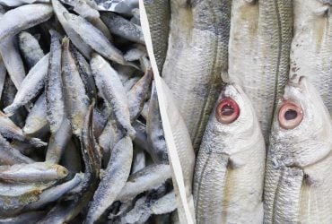 Такую замороженную рыбу нельзя покупать: врач объяснил, на что обращать внимание