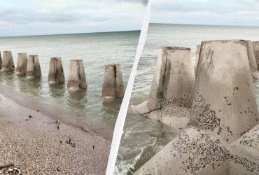 В Одесской области море "поглощает" сооружения для защиты от российского десанта, - ученый