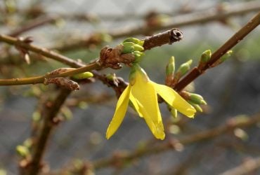 Сегодня Украину разогреет до +18°, но есть нюанс