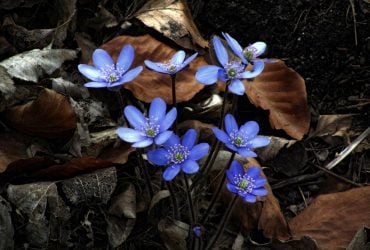 На выходных погода в Украине начнет меняться