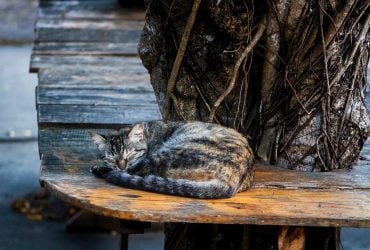 Синоптик сообщил, как антициклон изменит погоду в Украине