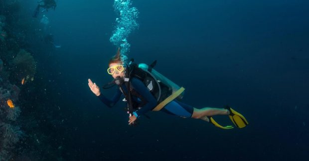 Возле Японии дайверы обнаружили крошечных животных с щупальцами вокруг рта (фото) Kép