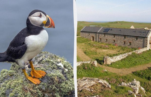 В Британії усім охочим пропонують "роботу мрії", але є нюанс