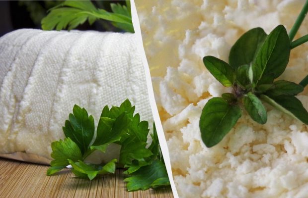 Не только сахар: что добавить в творог, если он слишком кислый