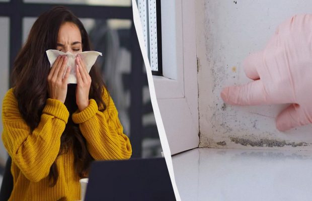 Копійчана добавка для тіста виявилася смертельною для цвілі: як прибрати грибок за годину