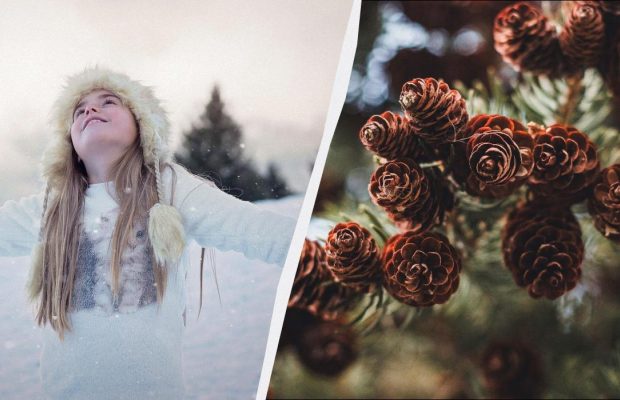 Українське свято 10 лютого: про що сьогодні моляться українці і що роблять вдома