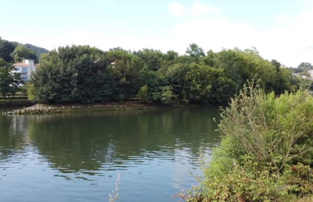 Смертельна пастка: в Європі є безлюдний острів із незвичним статусом