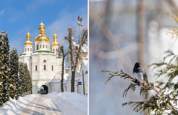 11 лютого: церковне свято сьогодні, прикмета дня, щоб увесь рік жити в достатку