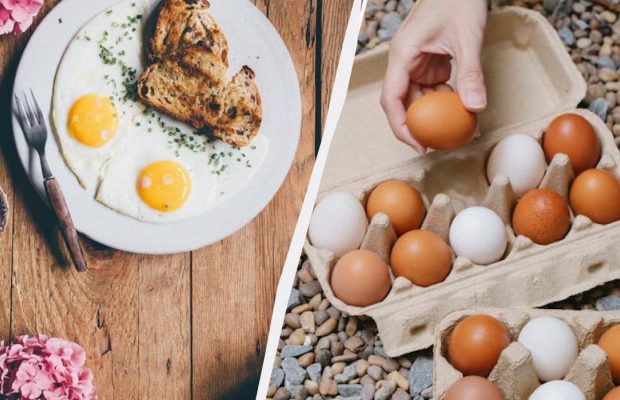 Жовток буде рідким, а білок - щільним: як посмажити ідеальну яєчню