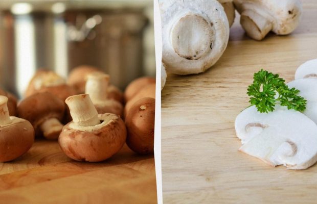Як приготувати ідеальні смажені печериці: 4 "золоті" правила