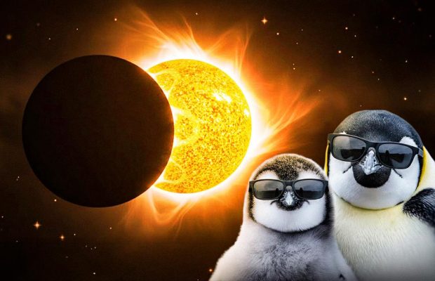 Сонячне затемнення 17 лютого 2026: для трьох знаків Зодіаку починається переломний період