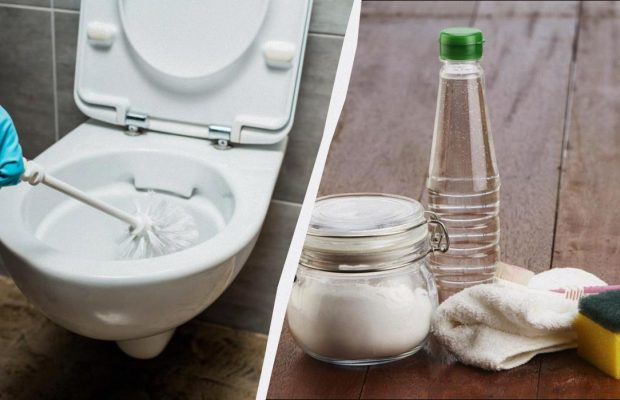 З оцтом чистити унітаз простіше простого: "злізає" навіть багаторічний наліт