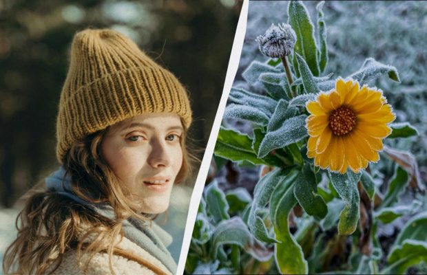 В Україні скасували свято 23 лютого: що сьогодні заборонено робити дівчатам