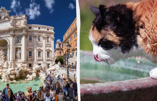 Не только толпы и жара: 10 причин отказаться от летнего отпуска в Европе