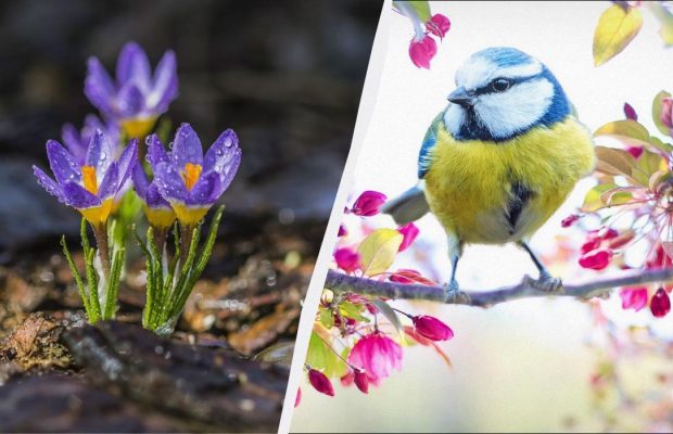 Сегодня - первый день весны: что в праздник 1 марта делают для благополучия