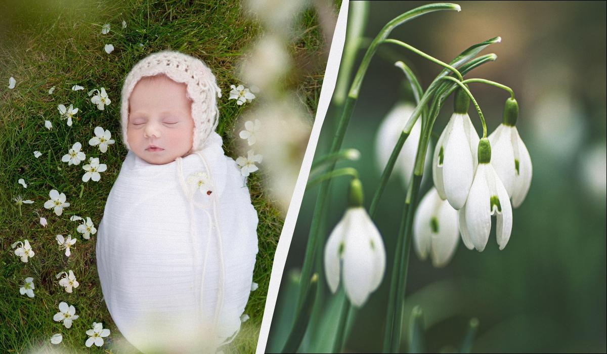 яке сьогодні свято