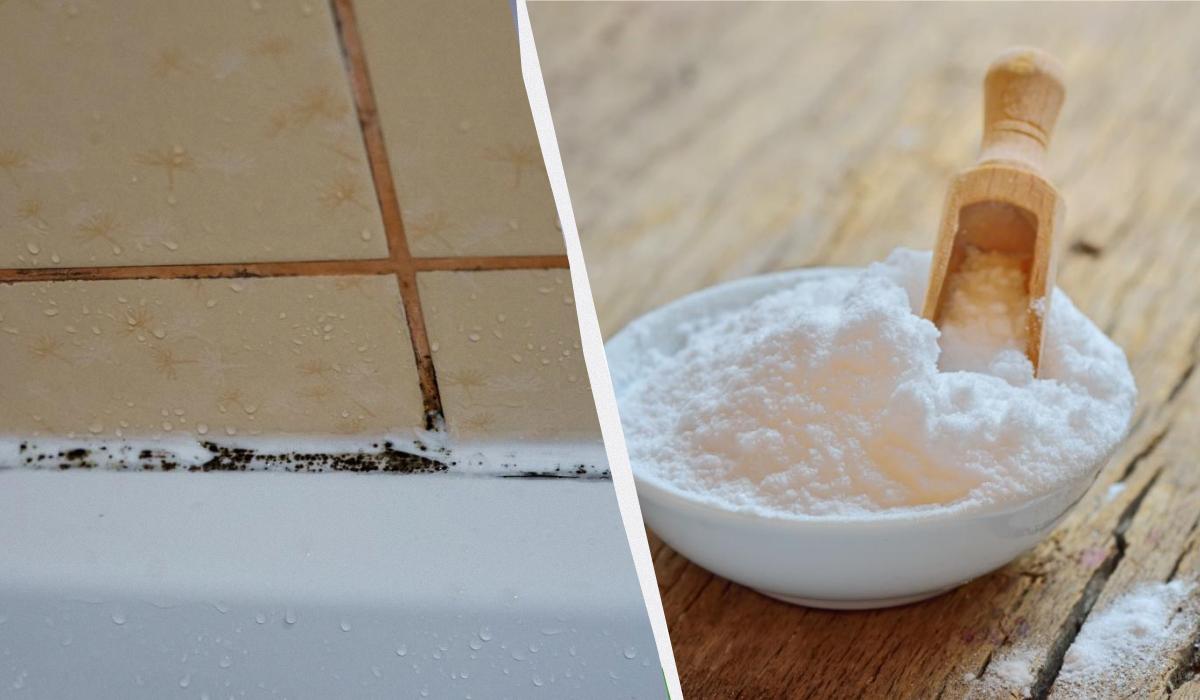 чим відмити шви на плитці