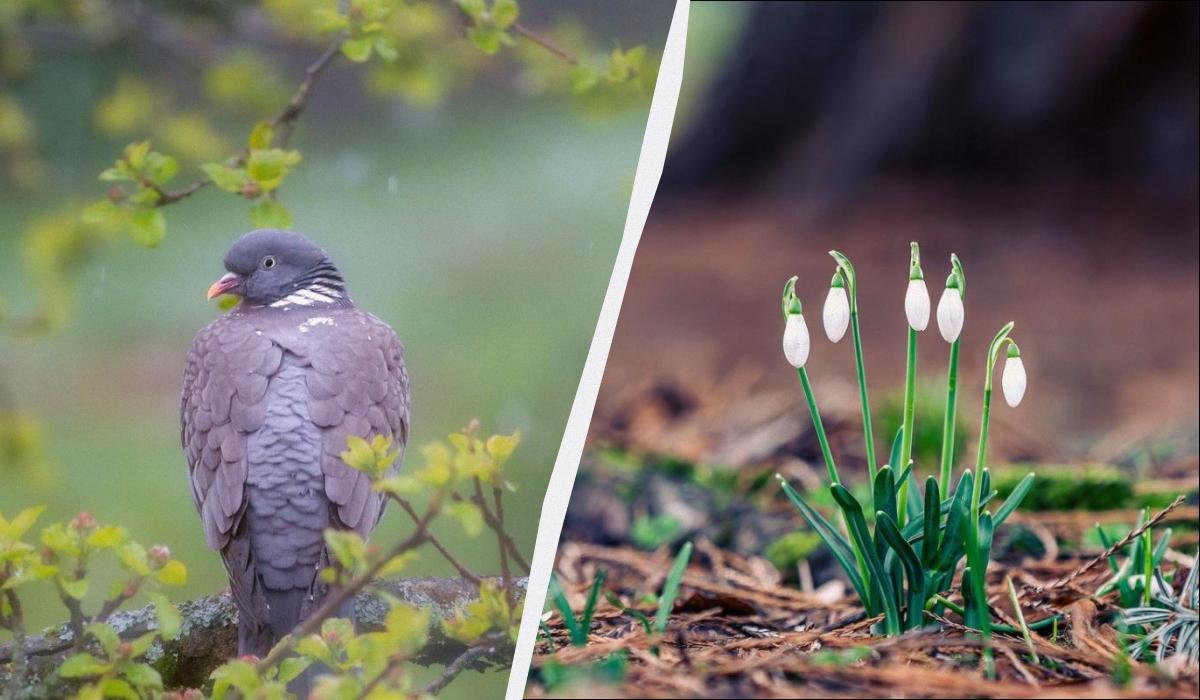 яке сьогодні свято