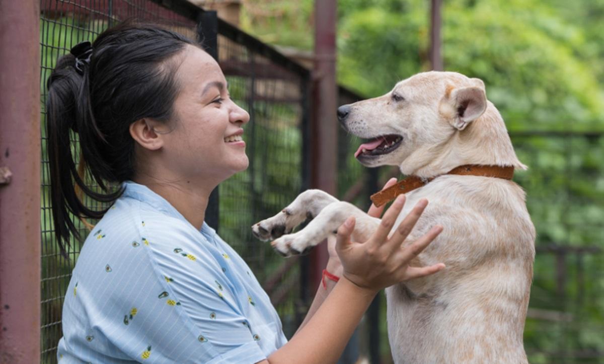 Підтримка громад і ветеринарної допомоги: Mars створює фонд із багаторічним фінансуванням