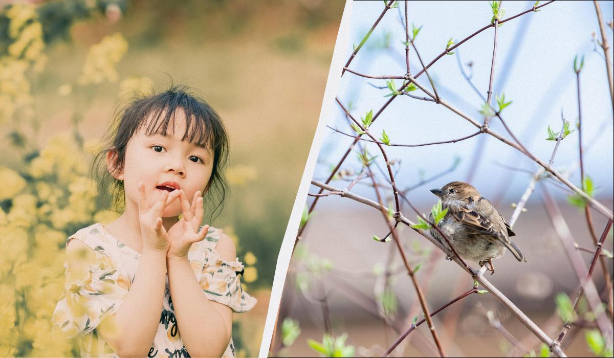 какой сегодня праздник