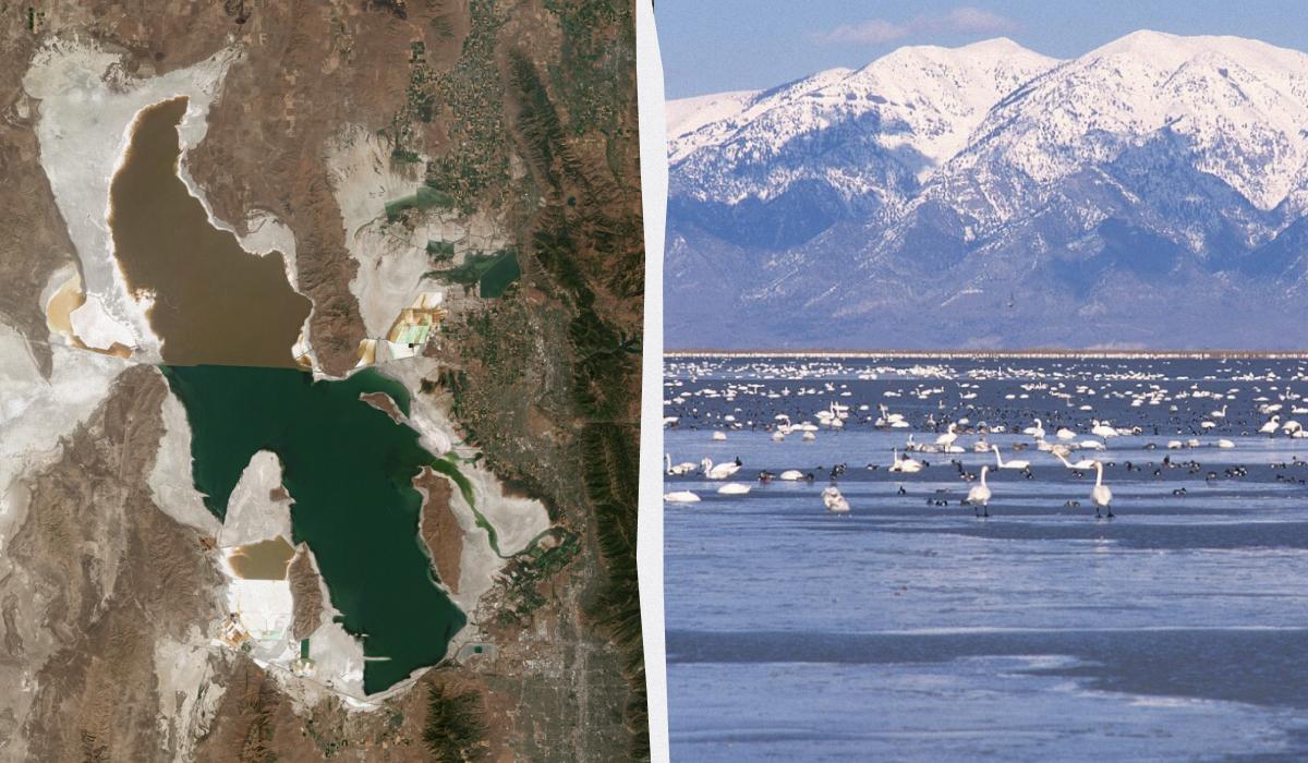 Вчені знайшли життя там, де воно неможливе: цих істот раніше не бачили на Землі