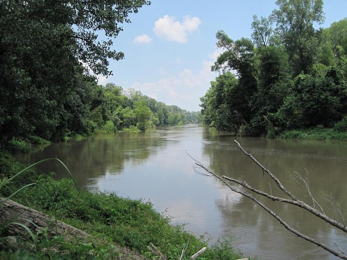 Простягається на 31 штат і є домом для дуже дивної тварини: що це за річка