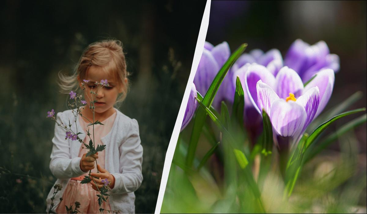 какой сегодня праздник какой сегодня праздник