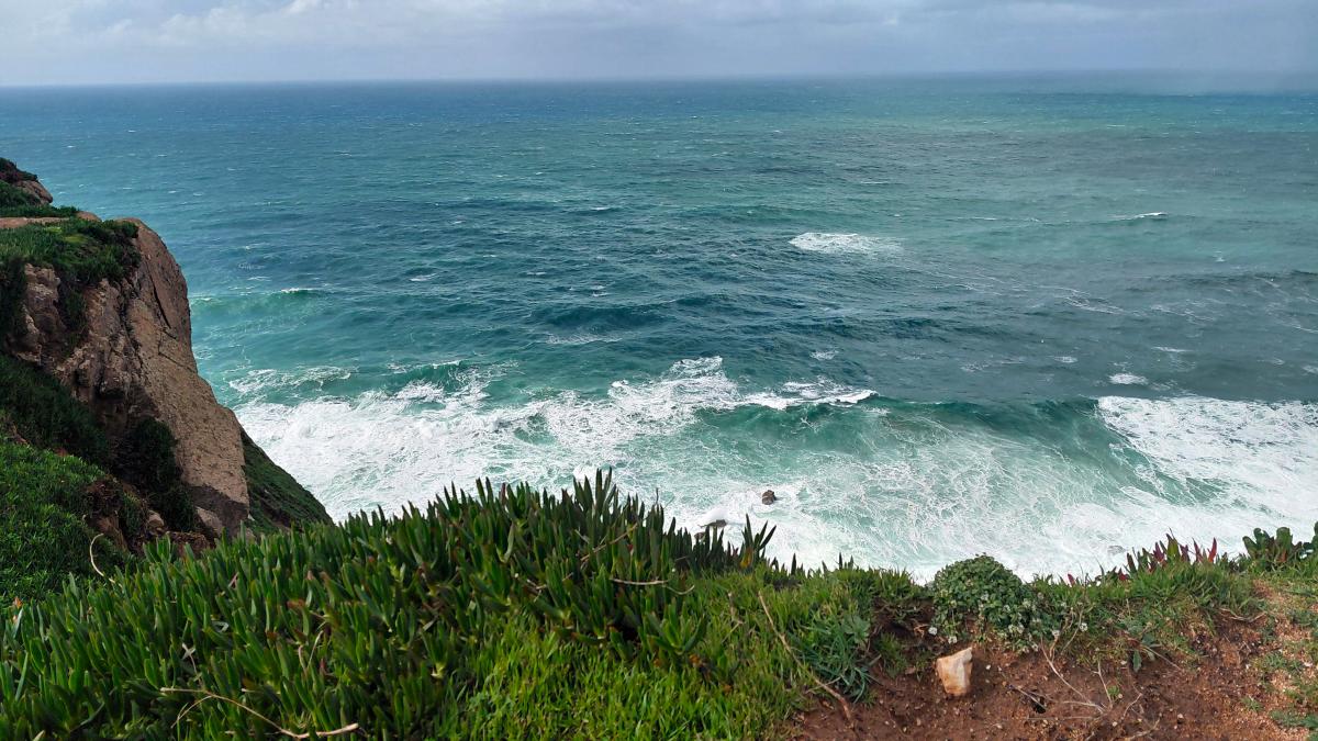 Вперше за 40 років: у Панамській затоці раптово зникло 