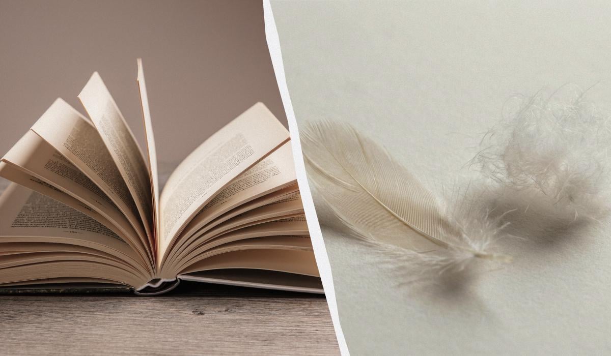 Что значит ни пуха, ни пера к черту