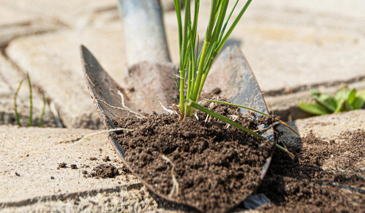 Найкращий засіб від бур'янів Найкращий засіб від бур'янів