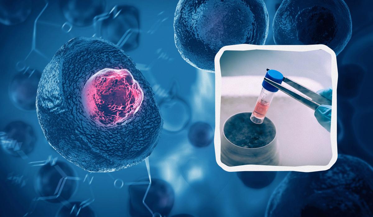 Лікування стовбуровими клітинами: перша країна у світі дозволила подібну терапію