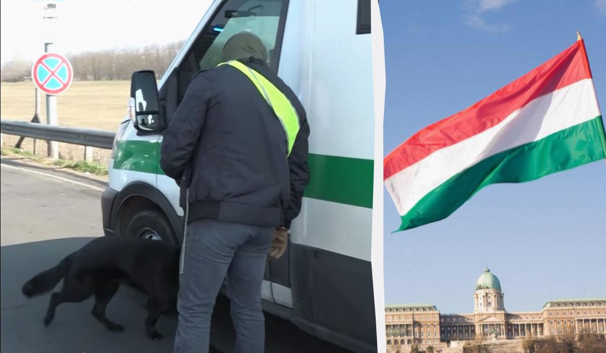 28 годин у кайданках: МЗС розкрило, як угорці поводилися з українськими інкасаторами 28 годин у кайданках: МЗС розкрило, як угорці поводилися з українськими інкасаторами