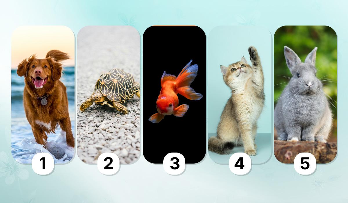 психологический тест