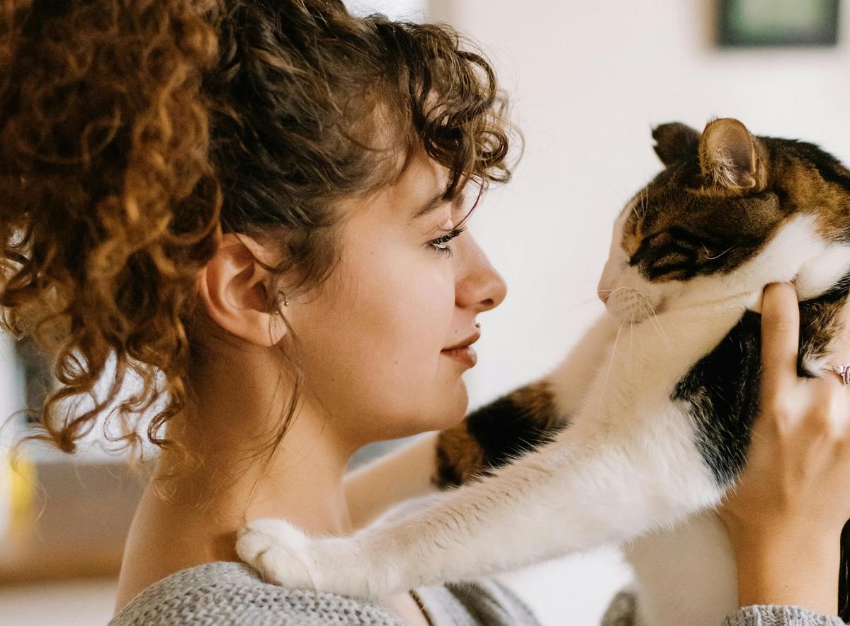 Люди, которые любят кошек, обладают 8 необычными чертами характера, - исследование