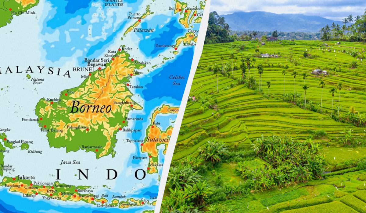 остров борнео