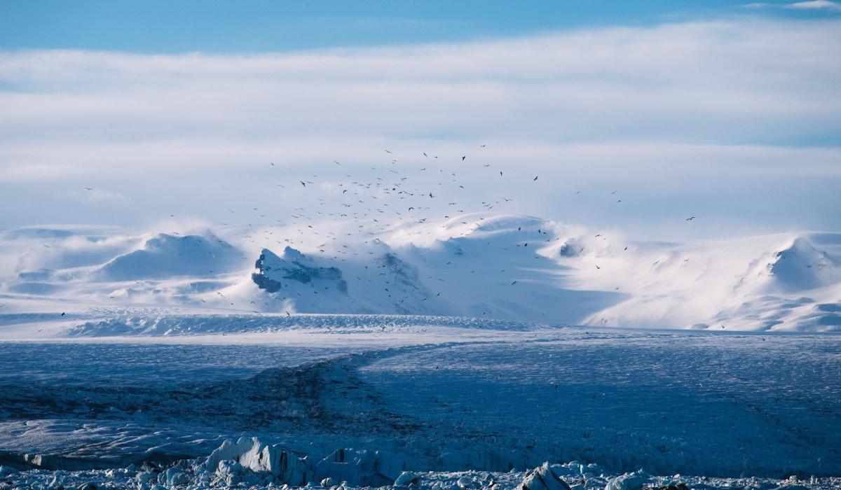 Ученые нашли 'виновного' в регулярных ледниковых периодах на Земле