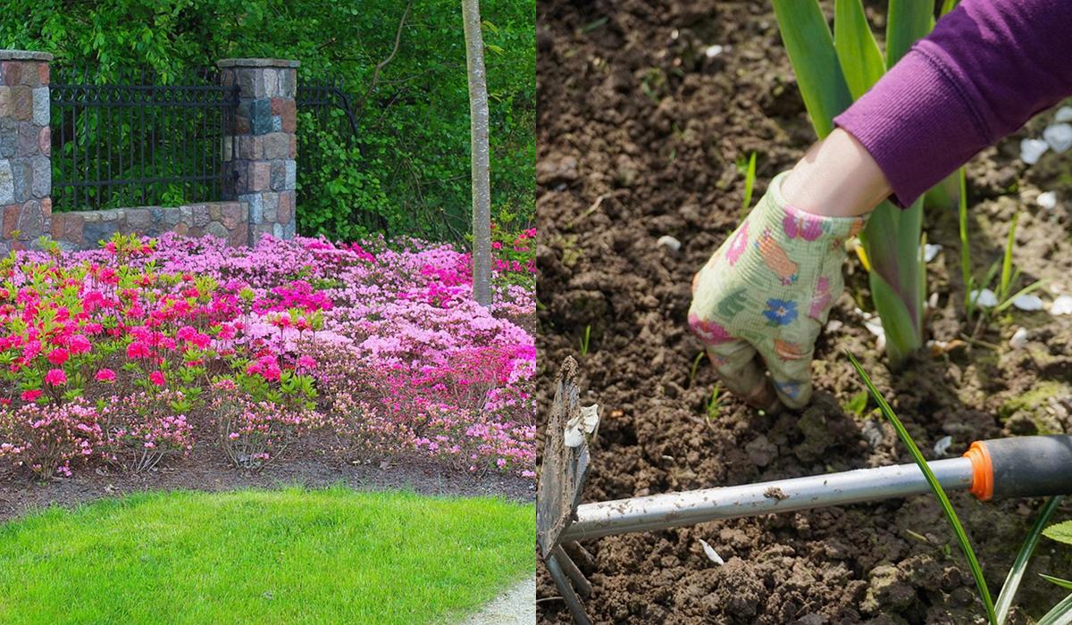 Как избавиться от травы на клумбе навсегда: эксперты перечислили все способы