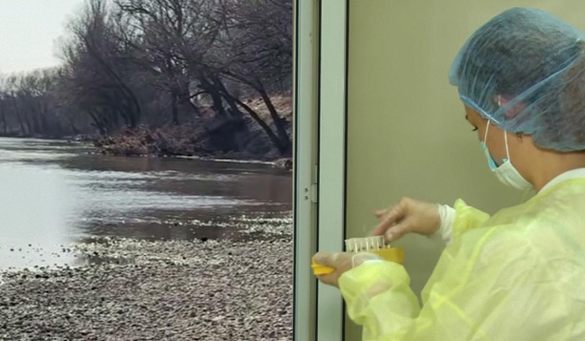 Україна звернеться до ООН через забруднення Дністра в результаті російської атаки Україна звернеться до ООН через забруднення Дністра в результаті російської атаки