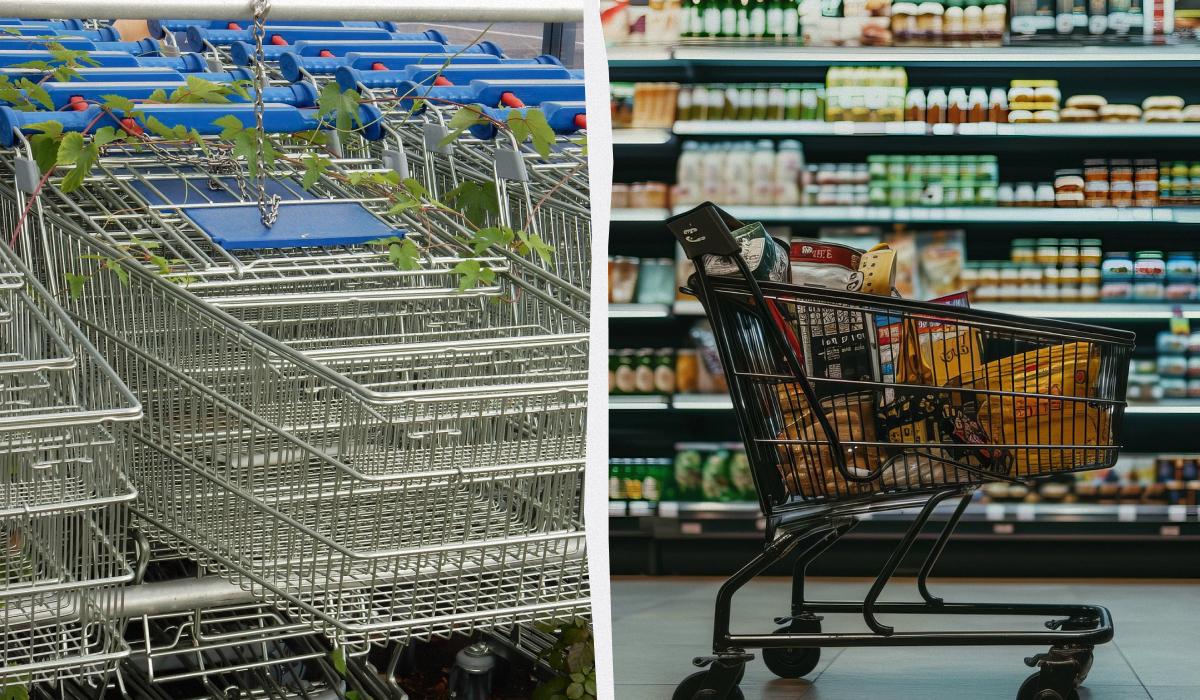 Тест, который невозможно обмануть: что магазинная тележка может рассказать о вашей душе Тест, который невозможно обмануть: что магазинная тележка может рассказать о вашей душе