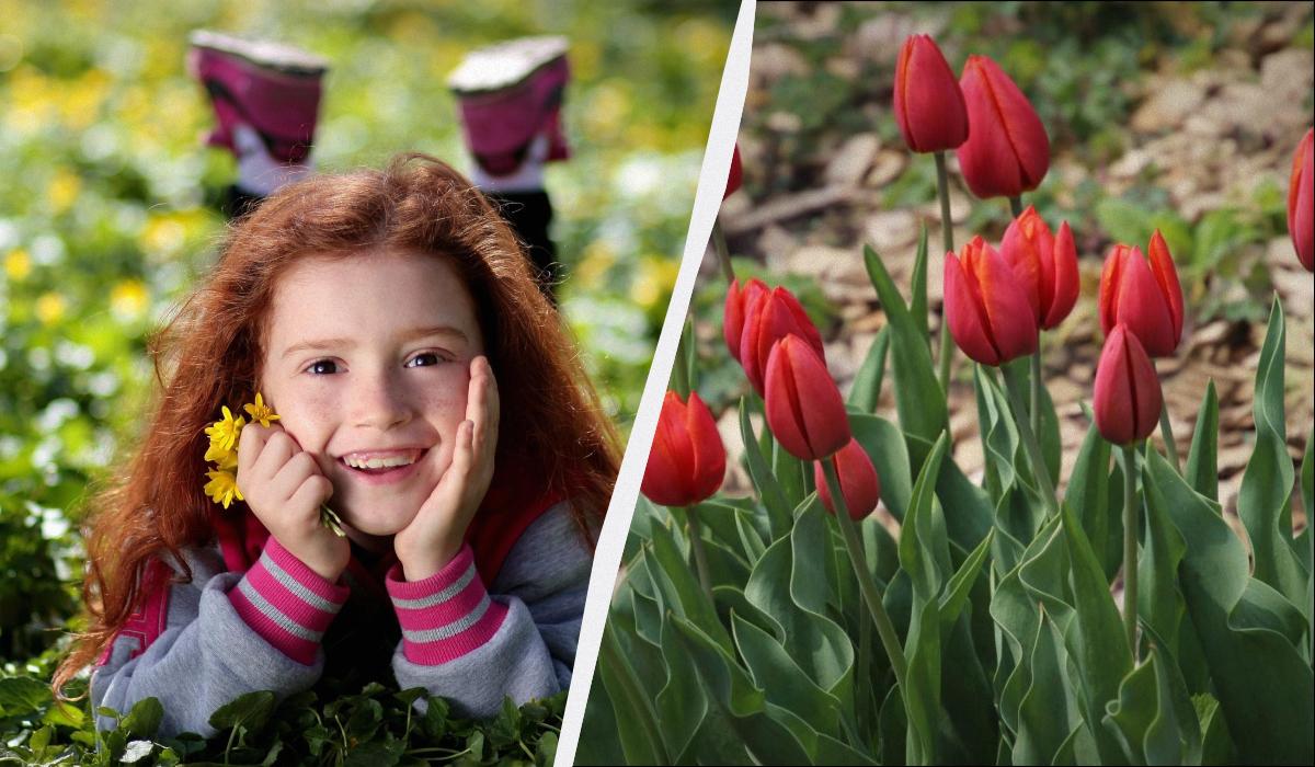 какой сегодня праздник