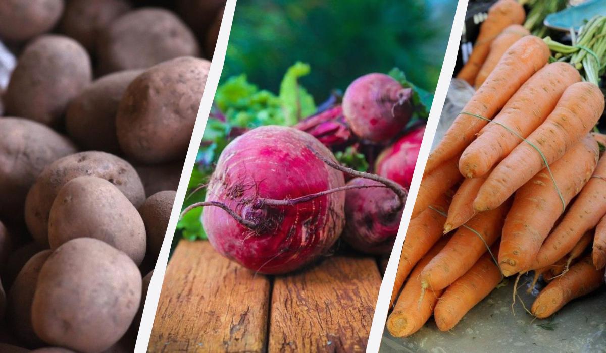 Картофель, морковь и свекла дешевеют: фермеры в Украине распродают овощи