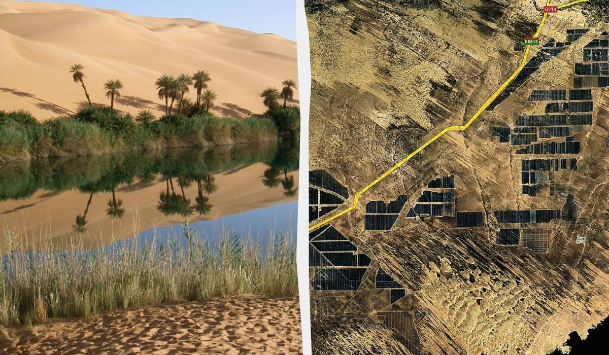 Найбільша сонячна ферма Китаю непомітно змінює пустелю навколо себе