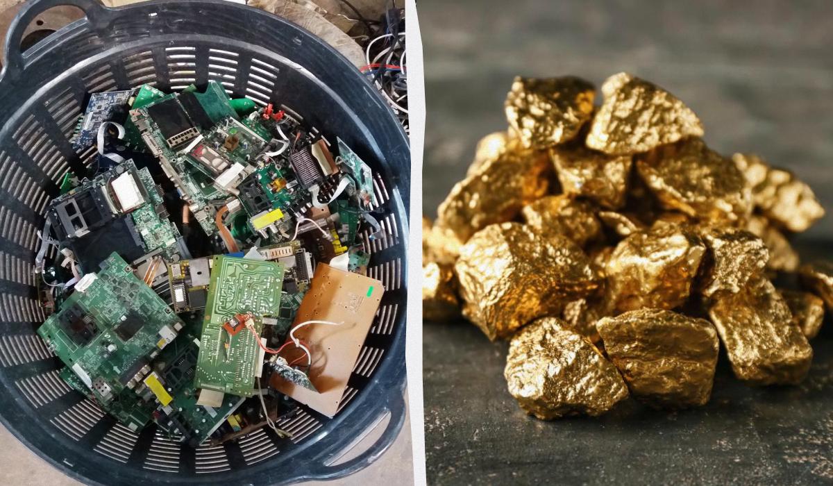 Скарби на звалищі: вчені навчилися видобувати золото з комп’ютерів за допомогою сироватки