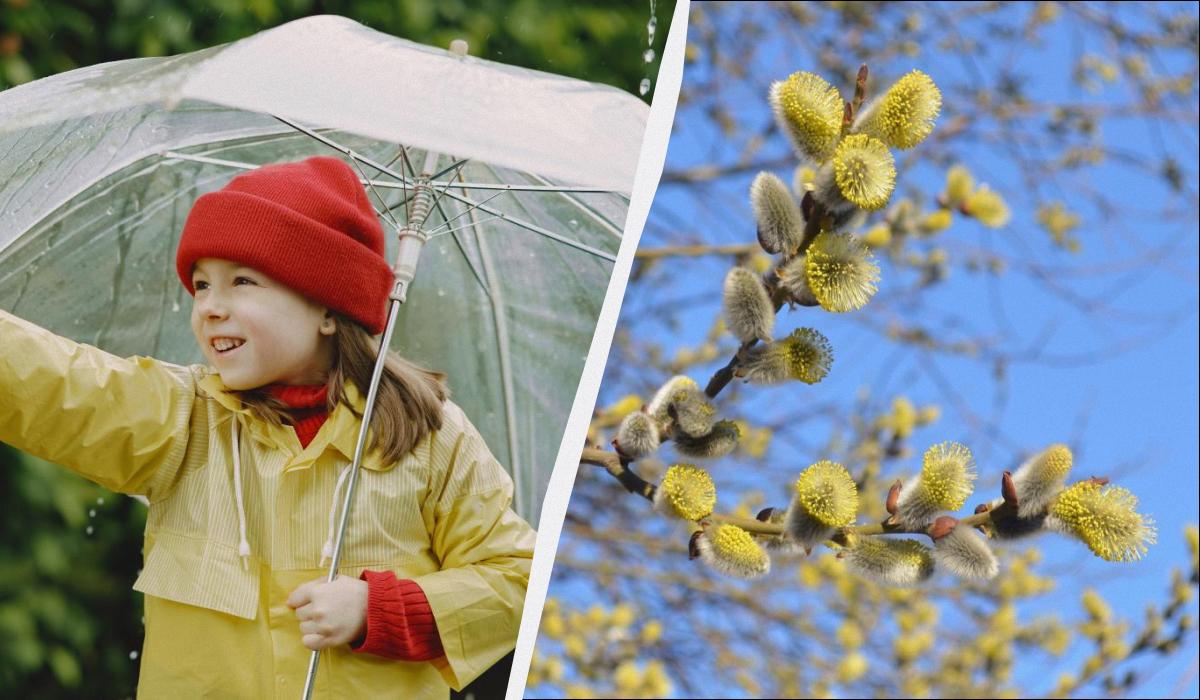 какой сегодня праздник какой сегодня праздник
