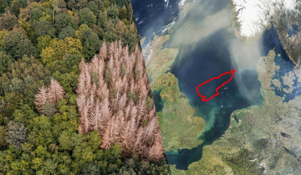 Вчені виявили 'загублений світ' на дні Північного моря