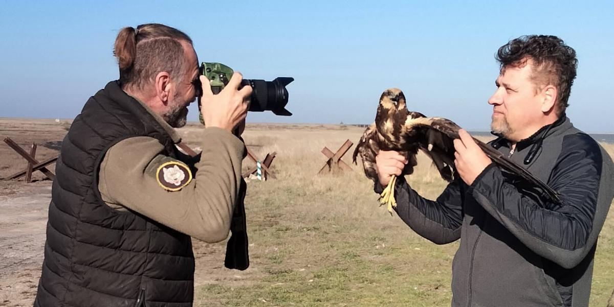 'Володар неба - на волі': на Одещині у дику природу випустили яскравого хижого птаха (фото)