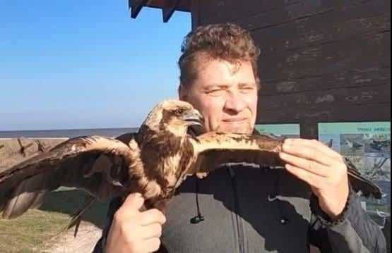 'Володар неба - на волі': на Одещині у дику природу випустили яскравого хижого птаха (фото)